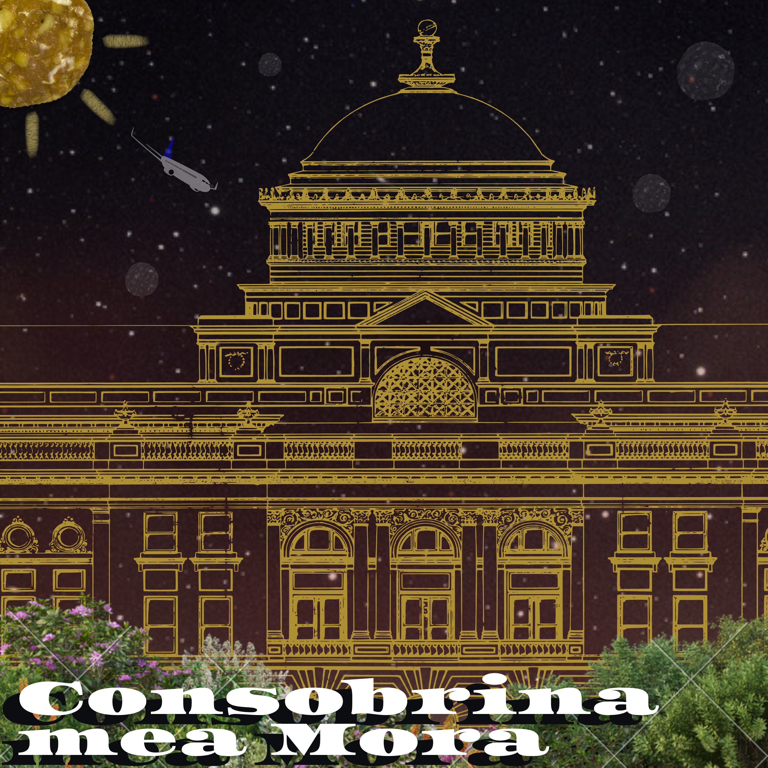 Portada Consobrina mea Mora